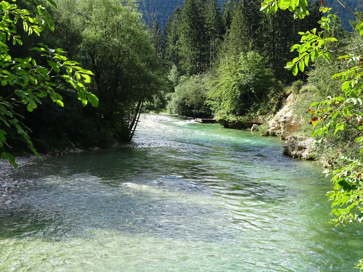 Apartmán Apartma Košnik Bohinj Exteriér fotografie