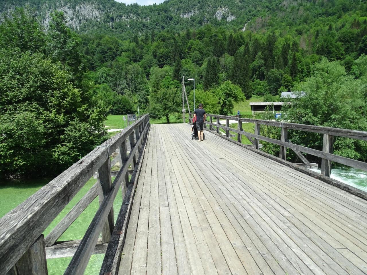Apartma Košnik Bohinj Exteriér fotografie