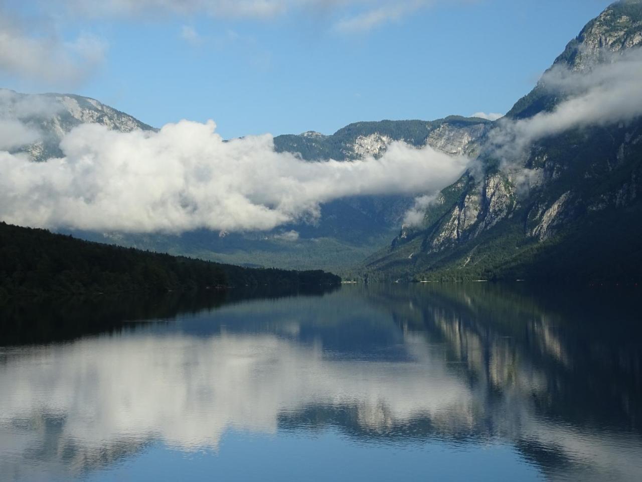 Apartmán Apartma Košnik Bohinj Exteriér fotografie