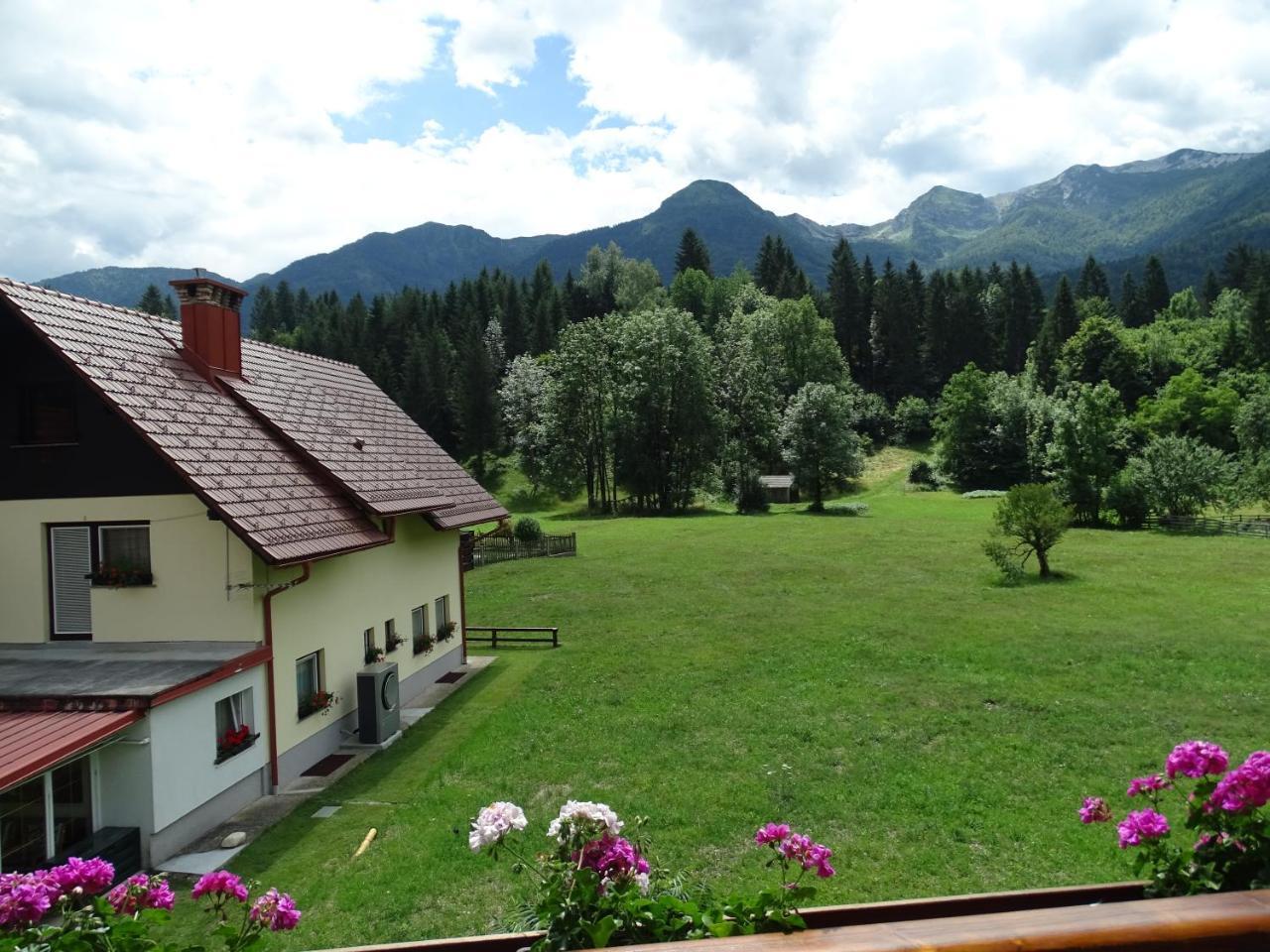 Apartma Košnik Bohinj Exteriér fotografie