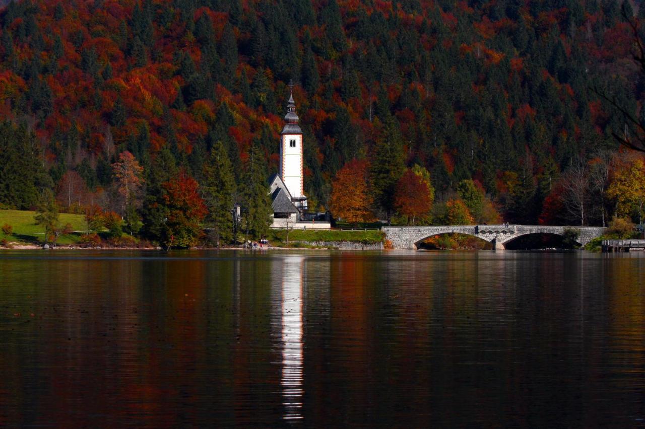 Apartma Košnik Bohinj Exteriér fotografie