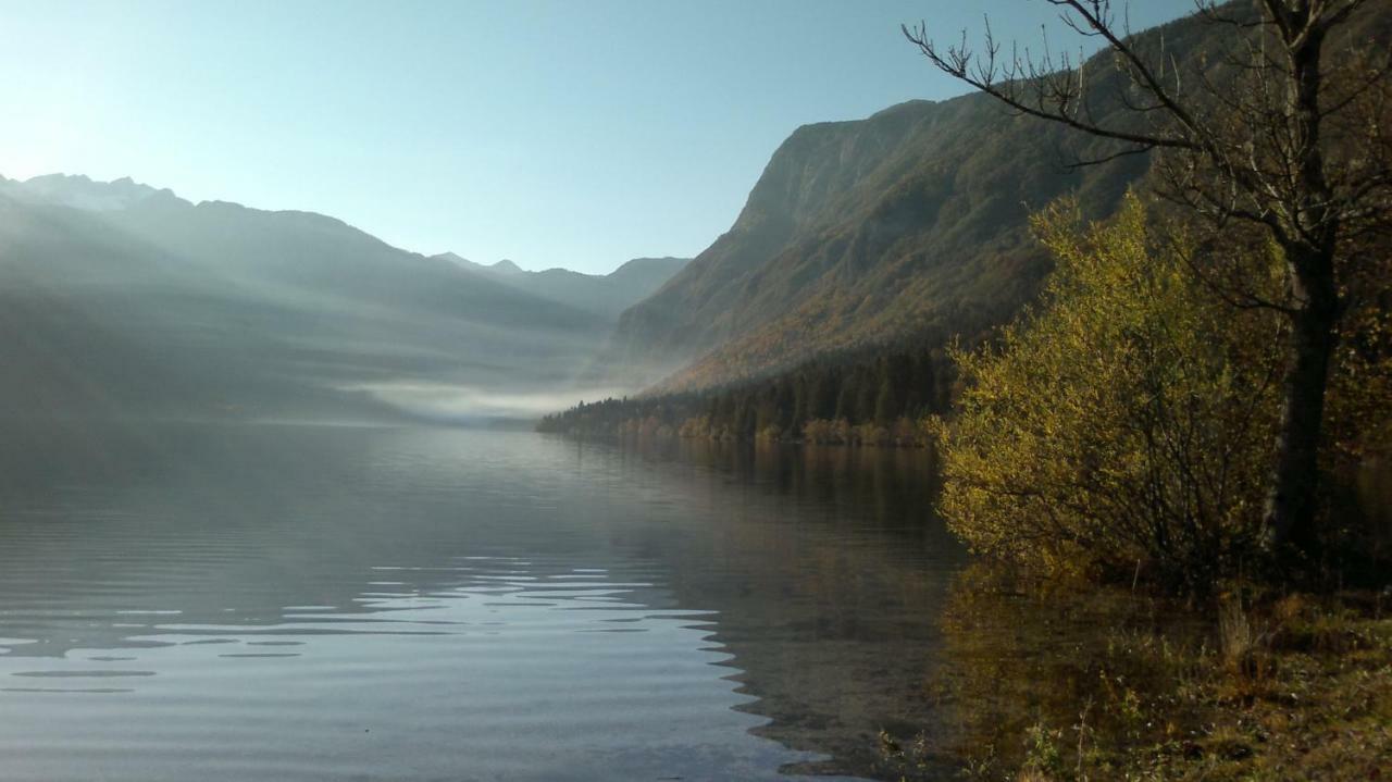 Apartmán Apartma Košnik Bohinj Exteriér fotografie